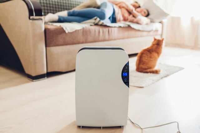 5 Ways to Improve Air Quality In Your Home